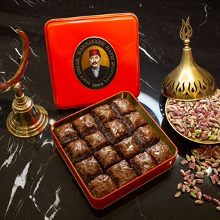 حافظ مصطفى باشا